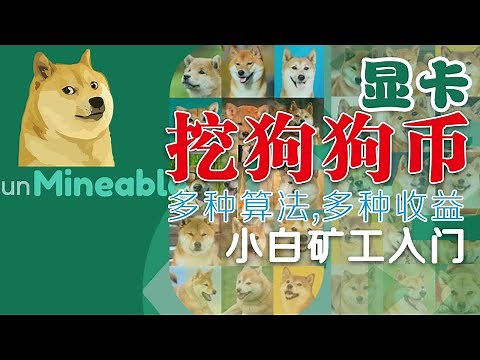 显示怎么挖狗狗币 unmineable 矿工之家 选eth算法 rvn算法挖矿, 挖矿小白入门