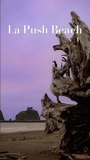 📸 Photographer Quick Gallery Ep. 1: La Push Beach