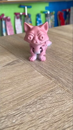 The Cutest Fidget Cat #fidget #fidgettoys | Xtreme Imports Kapiti | Facebook