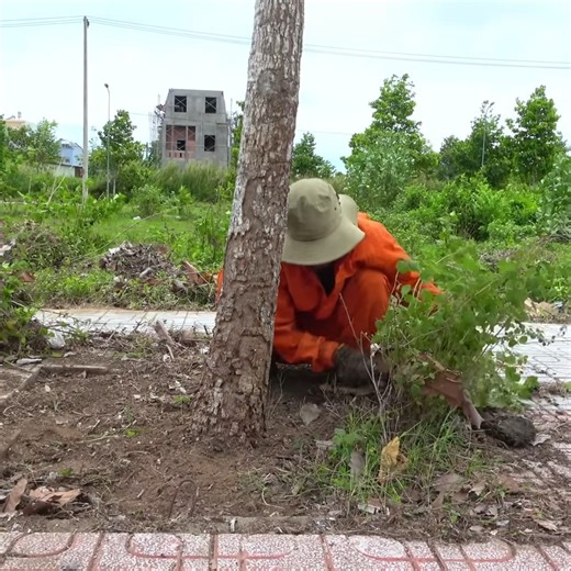 Transforming the Entire Neighborhood Through Cleanup P2 #clean #cleaning #cleaninghouse #cleaningteam #housekeepingteam #deepcleaning #satisfyingcleaning #cleaningasmr #cleanwithme #satisfying #cleaningmotivation #cleaninghacks #cleaningtips #cleaningszn #cleanfreshhype #cleanclearconfident #fyp #freecleaning #motivation #viralpost #asmrcommunity | Clean The Old House