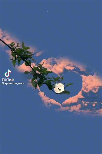 Shabala (@shabala346)’s videos with original sound - Shabala