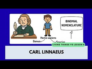 Carl Linnaeus and Classifications | Year 6 Science