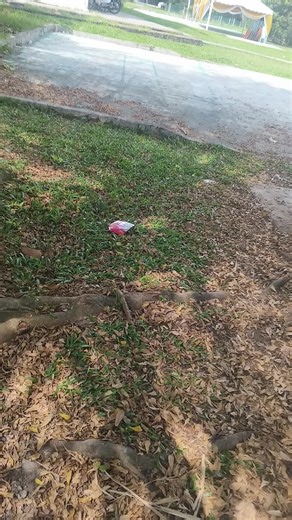 #foryou #foryoupage #trending #viralvideo #tiktok