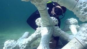 8.5M views · 19K reactions | 3D Printing Can Replace Damaged Coral Reefs | Seeker by The Verge | Facebook