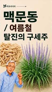 폭염특집1. 여름철 탈진의 구세주: 맥문동차, #맥문동 #여름보양 #동의보감 #폭염대비 #폭염 #주하병