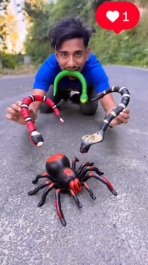 Three_Snake_Vs_Rc_Spider_Unboxing_❤️😍 | DP Dilnaj Prveen