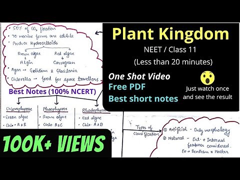 Plant Kingdom || Class 11 Chapter 3 || Best quick revision NEET One shot Video Best notes mind map