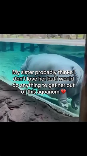 🧍🧍‍♂️🧍 | Tag your sis - #meme #siblings #fyp | Instagram