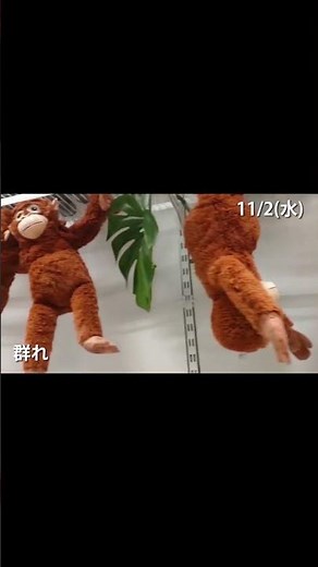 資産1000万円でFIRE生活【30代独身】 #shorts