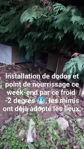 55K views · 1.5K reactions | Châteauneuf sur Loire 45 Installation...