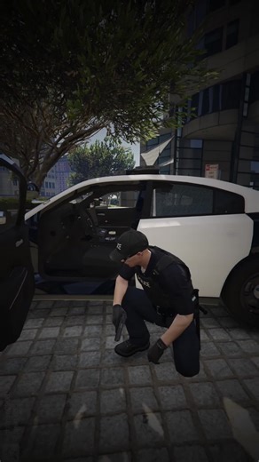 Emergency Response: SWAT to Panic Button Activation