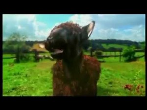 NEW! The Laughing Cow Cheez Double Dippers TVC 2002 30's