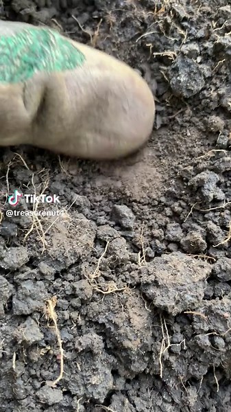 Exploring Hidden Treasures in History