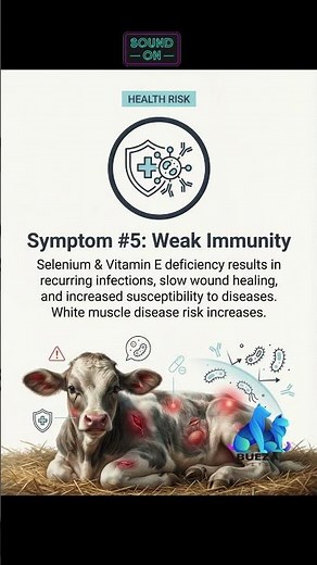 Goat/Sheep Mineral Deficiency Symptoms#goathealthtips #SheepHealth #LivestockCare