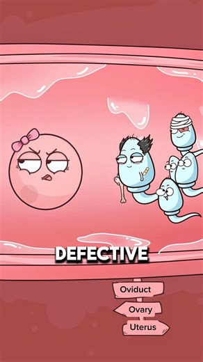 How Poor Sperm Quality Can Cause Miscarriage ⚠️🧬..!!#e2dhealth #animation #2dshow #fypシ #health