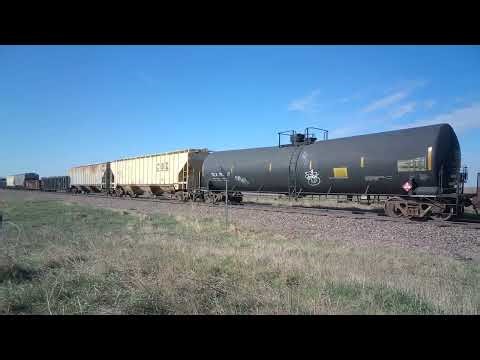 Northbound train UP 1979 We Are One on the Spine Line