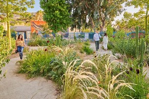 MoLAA Demonstration Garden by Studio One Eleven – Landscape Architecture Platform | Landezine