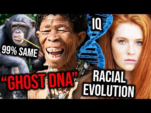 The Most Current Understanding of the Human Genome (including controversial takes)