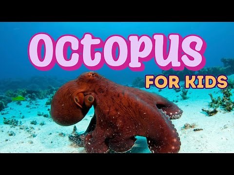 Octopus: The Masters of Disguise Fun Learning for Kids