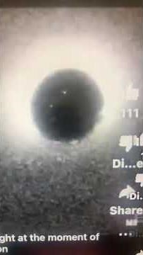 Flash of light at moment of conception (under microscope)