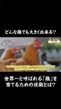 [Specialty Breakdown] What is the proven technique only master poultry farmer Kosaka, who raises ...