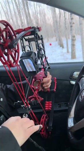Cool accessories for dual-purpose compound bows #archery #outdoors #hunting #bowhunting #deer #fyp