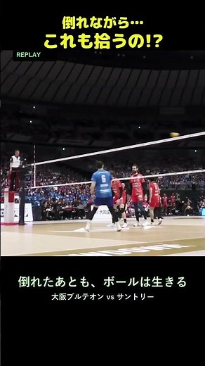倒れながらも拾う！山本智大の神レシーブ