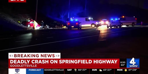 Deadly crash on Springfield Highway