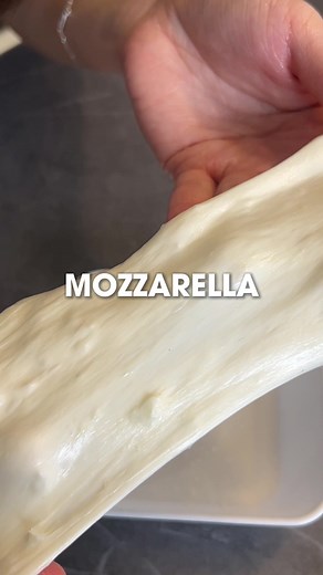 Bikin Homemade Mozzarella Hanya Dengan 2 Bahan!