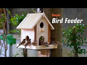 Build a Creative Wooden Bird House and Bird Feeder | DIY Woodworking Project for Nature Lovers