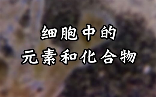 【分子与细胞】细胞中的元素和化合物