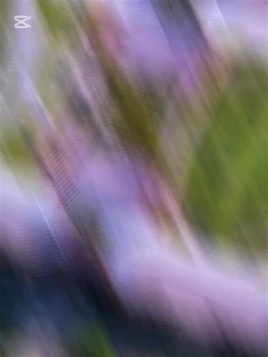 Part 2: Mass Communication Insights at LASU