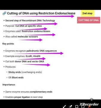 Cutting of donar DNA & Vector DNA#2nd step of rDNA Technology #rDNA TECHNOLOGY #bsc zoology #msc zoo