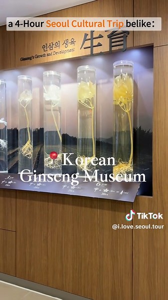 🇰🇷4 Hours in Seoul: A Mini Travel Tour✨ From royal drumbeats to sizzling street food, Seoul will give you a full cultural reset in just 4hours👣✨ 📍Gyeongbokgung Palace — where time slows down for the royal guard 📍Bukchon Hanok Village — quiet alleys & hanok rooftops whispering stories 📍Bugak Palgakjeong & Skyway — panoramic views 📍Korean Ginseng Museum — 📍Gwangjang Market — Netflix-level street food frenzy 🍽🔥 🔍 #seoul #korea #trips #tour #travel #tips #koreatrip #seoultravel #southkore