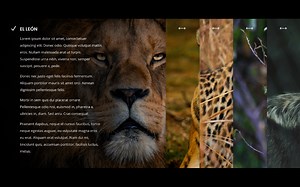 Cómo crear un acordeón slider responsive con un efecto hover con divi y wordpress - OV DIVI