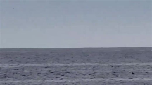 😱😱😱 Oye narca Claudia Sheinbaum Pardo ¿ya estás informada sobre esto? Un submarino estadounidense ubicado a un ladito de tus narco socios en Mazatlán Sinaloa. ¡ Claudia Sheinbaum Pardo, DEJA DE MENTIR!! | Denise Meade