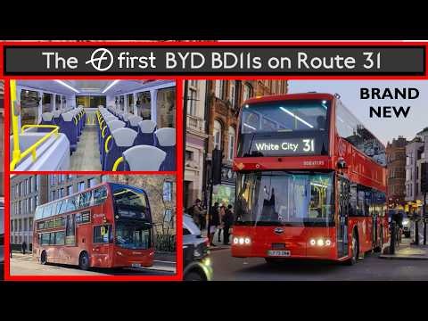 The FIRST BYD BD11s on Route 31! BRAND NEW Interior (Goodbye Enviro400 Hybrids) London Bus Changes