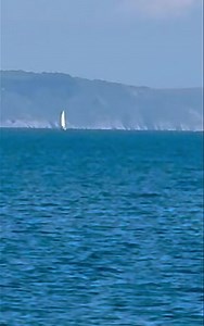 UPDATE: thanks to Ali Salcombe Sea N Shore Risso’s Dolphins. Was this a glimpse we had of Orcas in Start Bay on Sunday? We were unsure but have seen reports of sightings in the bay that day 💙 | Forest and Beach