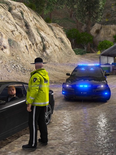 LSPD:FR Traffic Stop Simulation