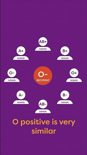 No typo here! Let’s talk about Type O blood.