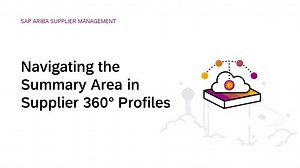 Navigating the Summary Area in Supplier 360° Profiles in SAP Arib