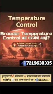 🌡️ Brooder Temperature Control का गरजेचं आहे?🔥 Brooder मध्ये तापमान का महत्वाचं आहे? |