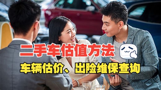 二手车价格怎么定？教你两招专业估值方法，查出险记录、维保记录，避免被坑！#购车指南 #二手车知识 #二手车估值