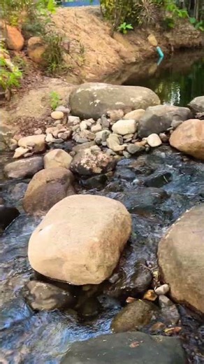 ธรรมชาติเยียวยาทุกอย่าง #james #เทรนด์วันนี้ #มาแรง #ท่องเที่ยว