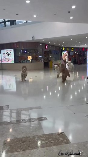 Brisk God (@brisk.god)’s video of trisha this is a song for you