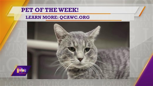 Pet of the Week | Beetle