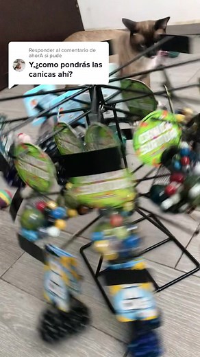 Recopilación de Canicas: ¡La Reunión Perfecta!