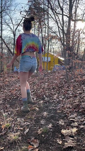 Virginia weather > #offgrid #offgridmisty #ogmisty #nature #rastas #fyppp #woodslivin