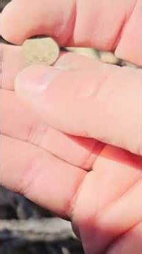 Once in a lifetime find for Colorado! #metaldetecting