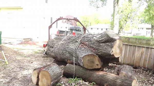 The most steel I've ever cut through - slabbing a big silver maple